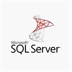 Microsoft SQL Server User CAL 2025