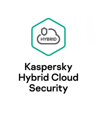 Kaspersky Hybrid Cloud Security, Server